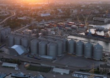 Адвокат заявив про спробу рейдерського захоплення Одеського зернового терміналу