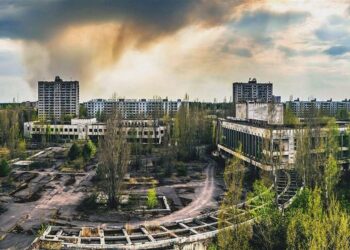 Чорнобильська земля може стати придатною для сільського господарства