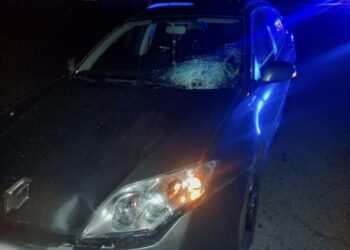 ДТП зі смертельними наслідками на Вишгородщині