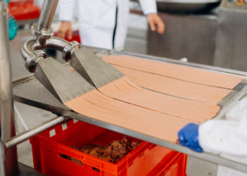 Suziria Group до кінця року запустить у Калуші завод вологих кормів для домашніх тварин Економіка