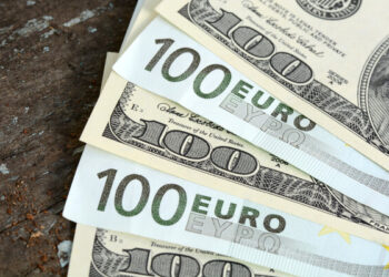 Голова НБУ заявив про можливість посилення прив’язки гривні до євро замість долара |