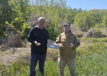 На Обухівщині вакцинують диких тварин від сказу