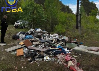 Несанкціоноване сміттєзвалище виявили у Гостомелі