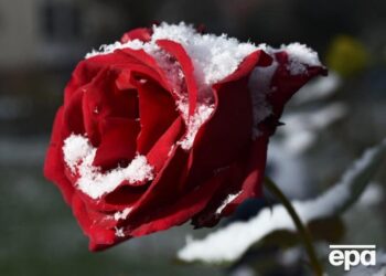 Прохолода й заморозки – синоптики розповіли, якою буде погода на Провідну неділю