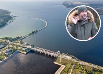 Родинний дерибан: як ексочільник Бориспільської РДА з сином поділили дорогоцінну землю біля Дніпра