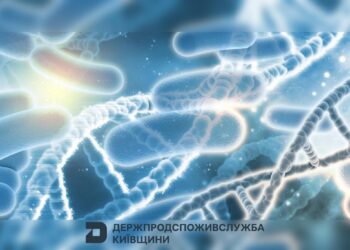 Спалах гострої кишкової інфекції на Київщині: 11 госпіталізованих у Броварському районі