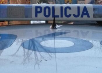 У Польщі в квартирі знайшли тіло українця: його зарізав співвітчизник – СВІТ