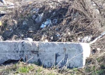 У селі біля Обухова вимагають ліквідувати стихійне сміттєзвалище