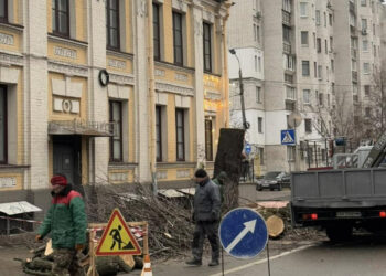 Живі дерева зрубують та неправильно обрізають у Києві – чому так відбувається | ПРО ГОЛОВНЕ