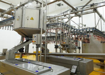 Avesterra Group запустила на Волині сучасний м’ясопереробний завод – Економіка