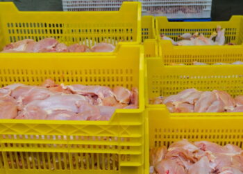 На експорті м’яса птиці за 4 місяці Україна заробила на 19,5% більше – Економіка