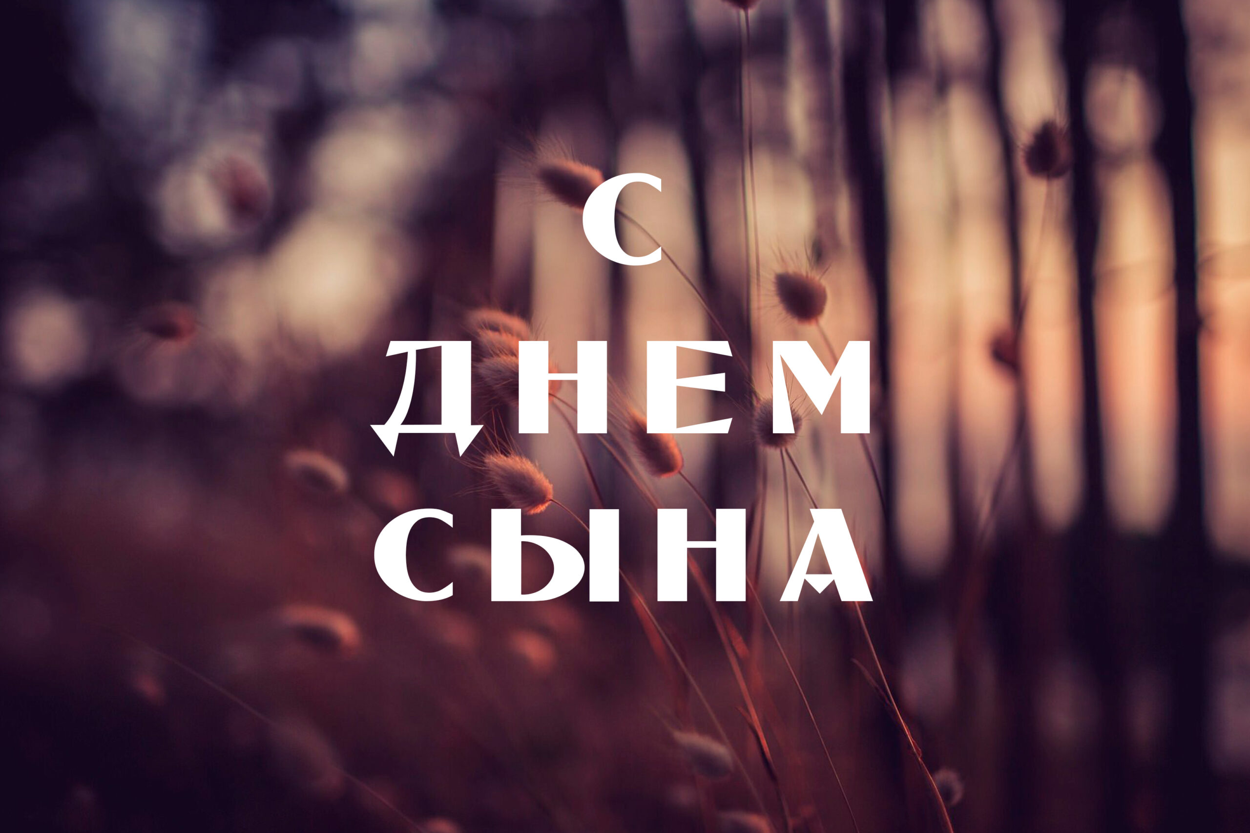 С Днем сына