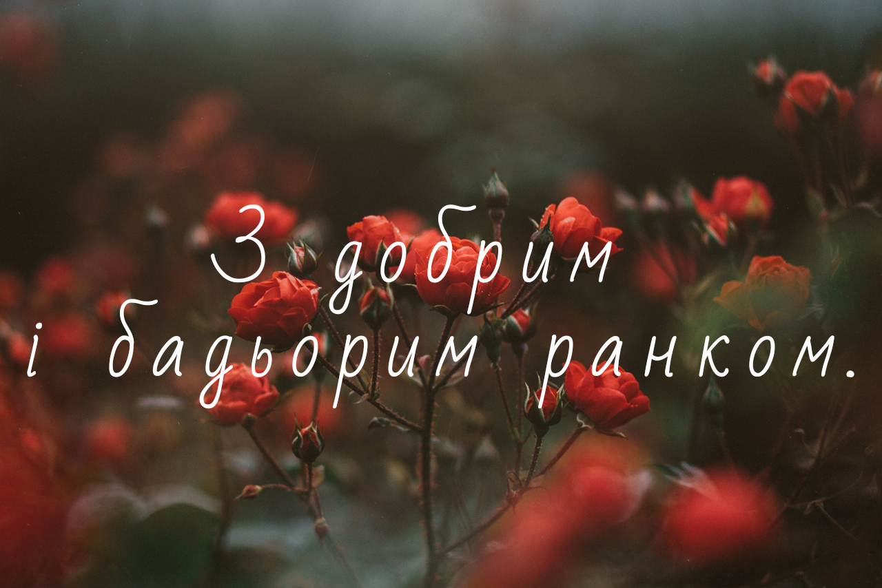 доброго ранку