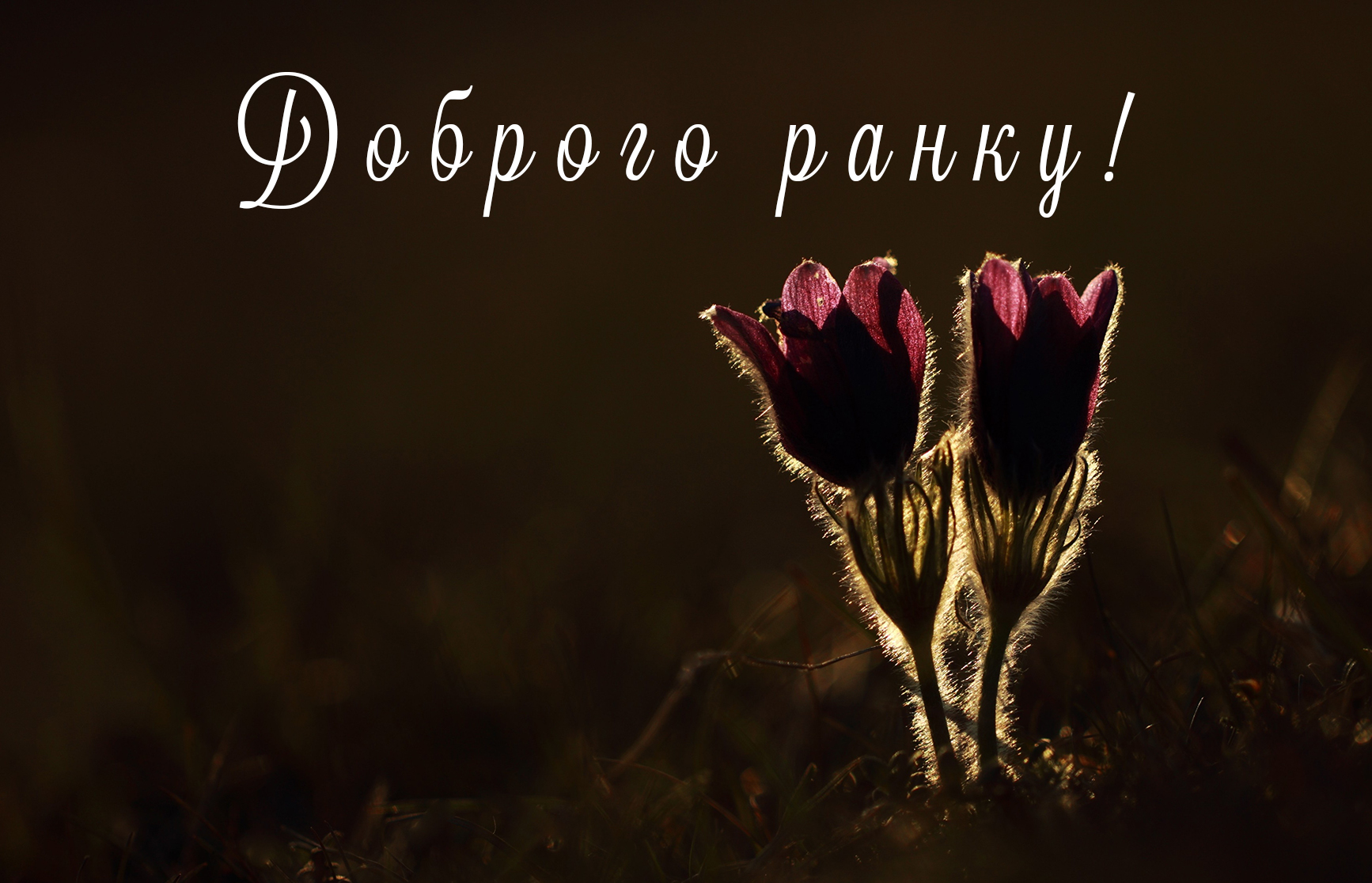 Доброго ранку