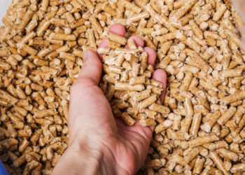 Свинарське підприємство збудує комбікормовий завод на Львівщині Економіка