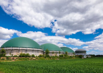 Vitagro інвестує близько €13 млн у будівництво заводів з виробництва біометану Економіка