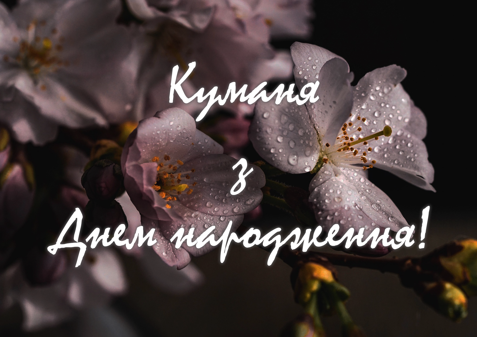 Кумання з Днем народження - вітальна листівка
