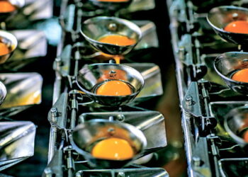 «Ясенсвіт» має на меті відновити обсяги виробництва до довоєнного рівня – Економіка