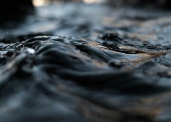 Ціни на нафту знижуються після попереднього зростання — Reuters |