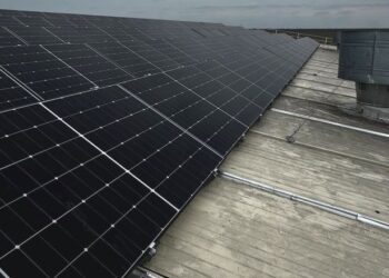 «Еко піглетс» планує будівництво третьої черги сонячної електростанції – Економіка