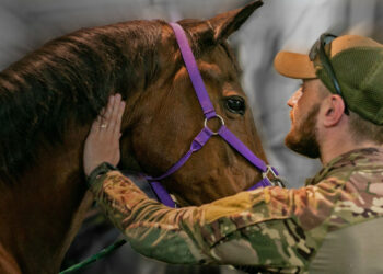 Іпотерапія для ветеранів: на Київщині реабілітовують військових