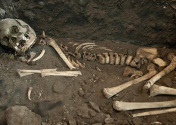 “Курйоз”у Білій Церкві: виконували роботи, а викопали людські рештки