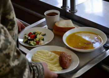 Малину замінять лохиною. Міноборони заявило про оптимізацію меню в ЗСУ