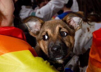 Марш рівності в Києві — як пройшов захід | ПРО ГОЛОВНЕ