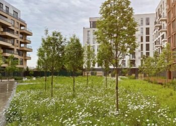 Міська лука замість газону —  у Києві реалізували екопроєкт у ЖК Файна Таун | ПРО ГОЛОВНЕ
