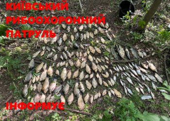 На Білоцерківщині спіймали браконьєра з уловом на понад 318 тисяч гривень