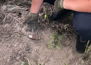 На Бучанщині дитина під час прогулянки знайшла гранату