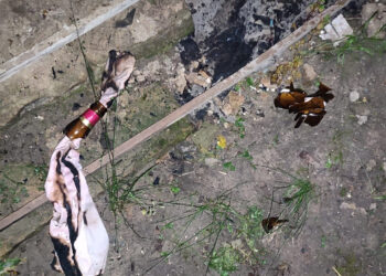 На Обухівщині молодик кинув “коктейль Молотова” на подвір’я односельця