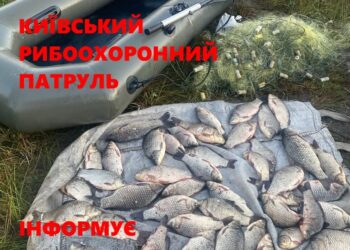 На Вишгородщині спіймали браконьєра з уловом на понад 124 тис грн