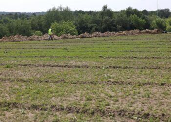 Поле для гольфу з’явиться на місці колишнього сміттєзвалища у Львові | ПРО ГОЛОВНЕ