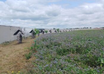 Презентація агротехнологічних новинок пройшла у фермерському господарстві на Київщині