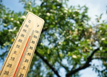 Синоптик розповів, яким буде початок літа в Україні