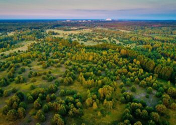 У Чорнобильському заповіднику виявили порушення: екоінспекція вимагає понад 5 млн грн