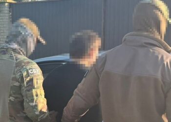 У дитячому харчуванні й кормах для тварин. СБУ накрила канал наркопостачань із Польщі