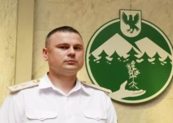 Збагатився на Київщині: керівник столичного лісового офісу Сахнюк став мільйонером