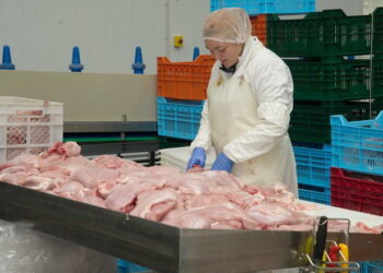 Виробники м’яса птиці в травні підняли ціну на 5,9% – Економіка