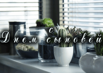 С Днем сына