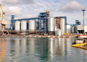 Одеський зерновий термінал Олімпекс нарешті перейшов у власність американців за рішенням суду Економіка