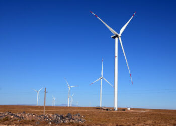 ОККО збудує другу ВЕС потужністю 192 МВт за €300 млн Економіка