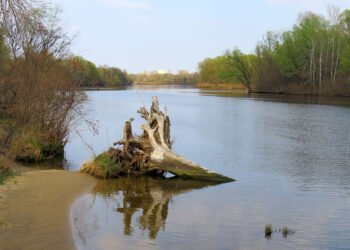 “Деснянські луки” захищено: КЕКЦ та прокуратура виграли суд проти рейдерів | ПРО ГОЛОВНЕ