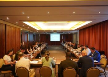 Дипломати 14 країн узяли участь в обговоренні пакету законопроєктів Defenсe City