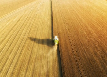 На продаж виставлено агрокомпанію з 5 000 га земель і елеватором на 15 000 тонн поблизу порту Південний Економіка