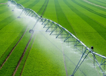 На продаж виставлено агропідприємство з 4 000 га землі та системою іригації в Одеській області Економіка