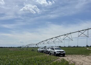 HarvEast розширив зрошувані площі в Київській області