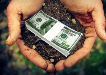 Київщина входить до трійки лідерів за ціною на сільгоспземлі