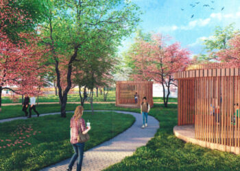 Кличко частково підтримав петицію щодо “Київзеленбуду”, але не ліквідацію | ПРО ГОЛОВНЕ